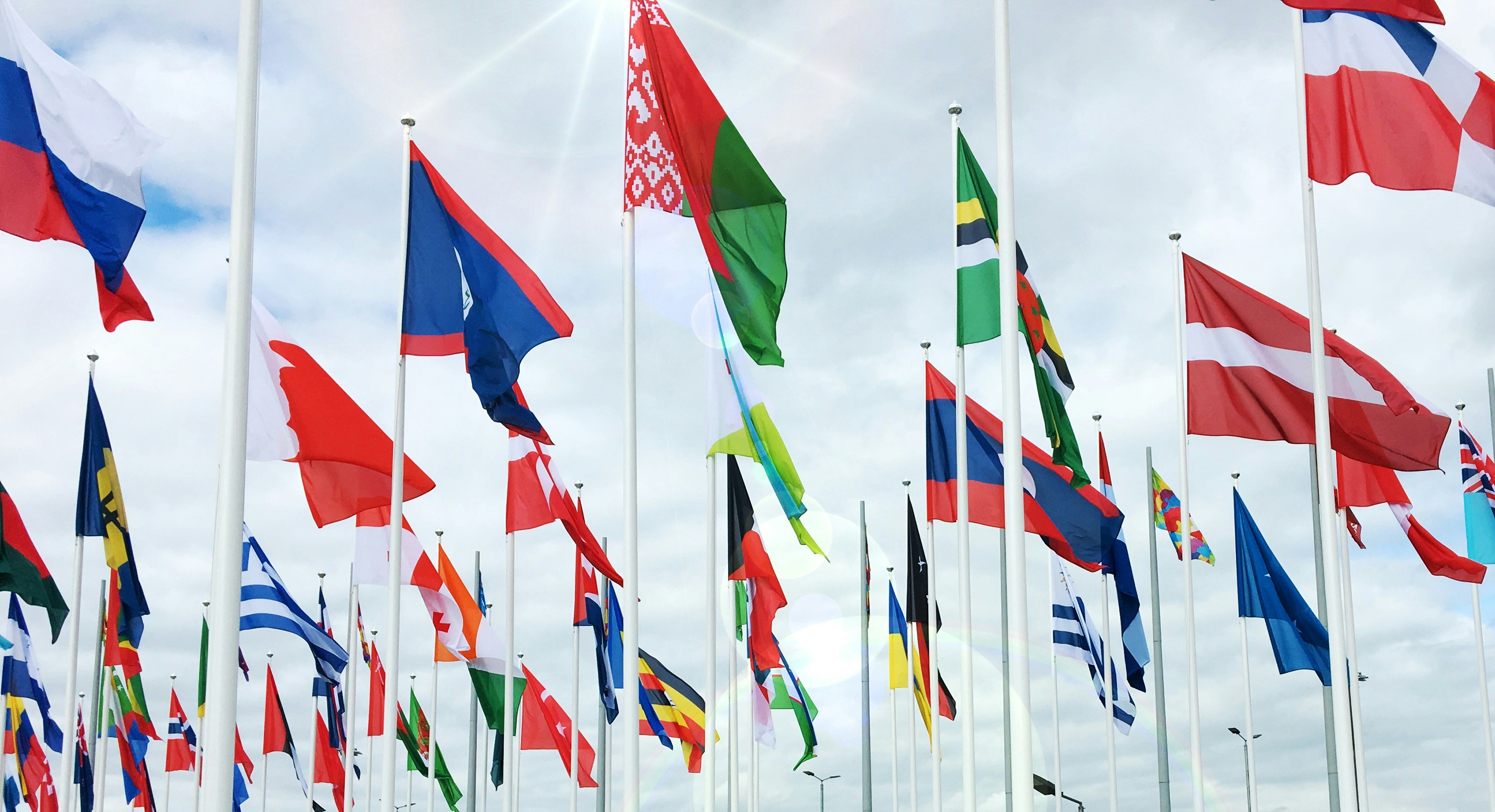 Unlocking Your Future: A Deep Dive into the International Foundation Programme